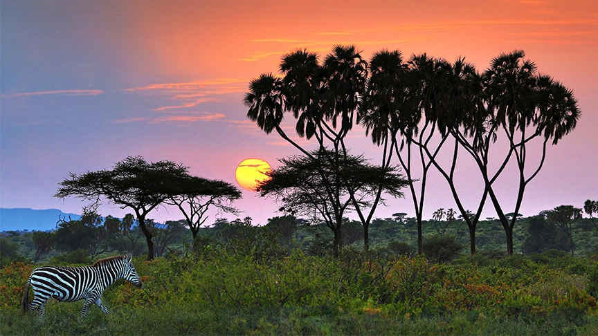 Singles tours and safari vacations in Africa