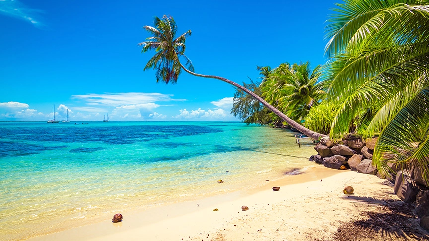 Singles vacations and cruises in the Caribbean