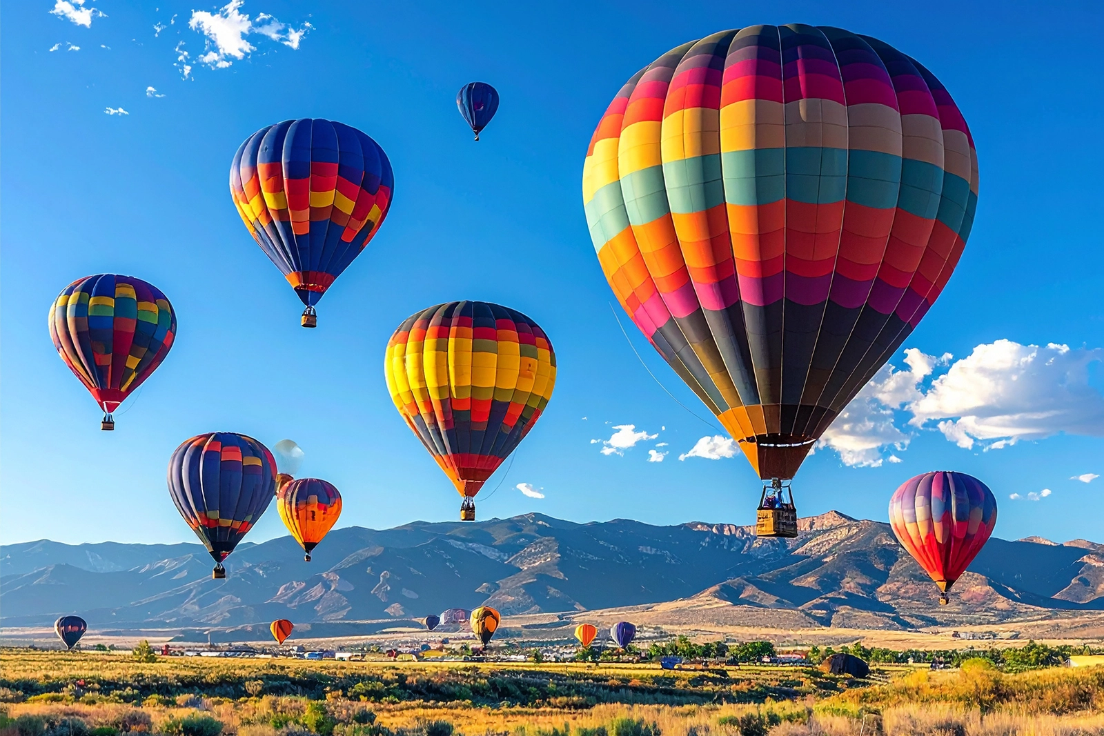 Hot air balloons at the Albuquerque International Balloon Fiesta