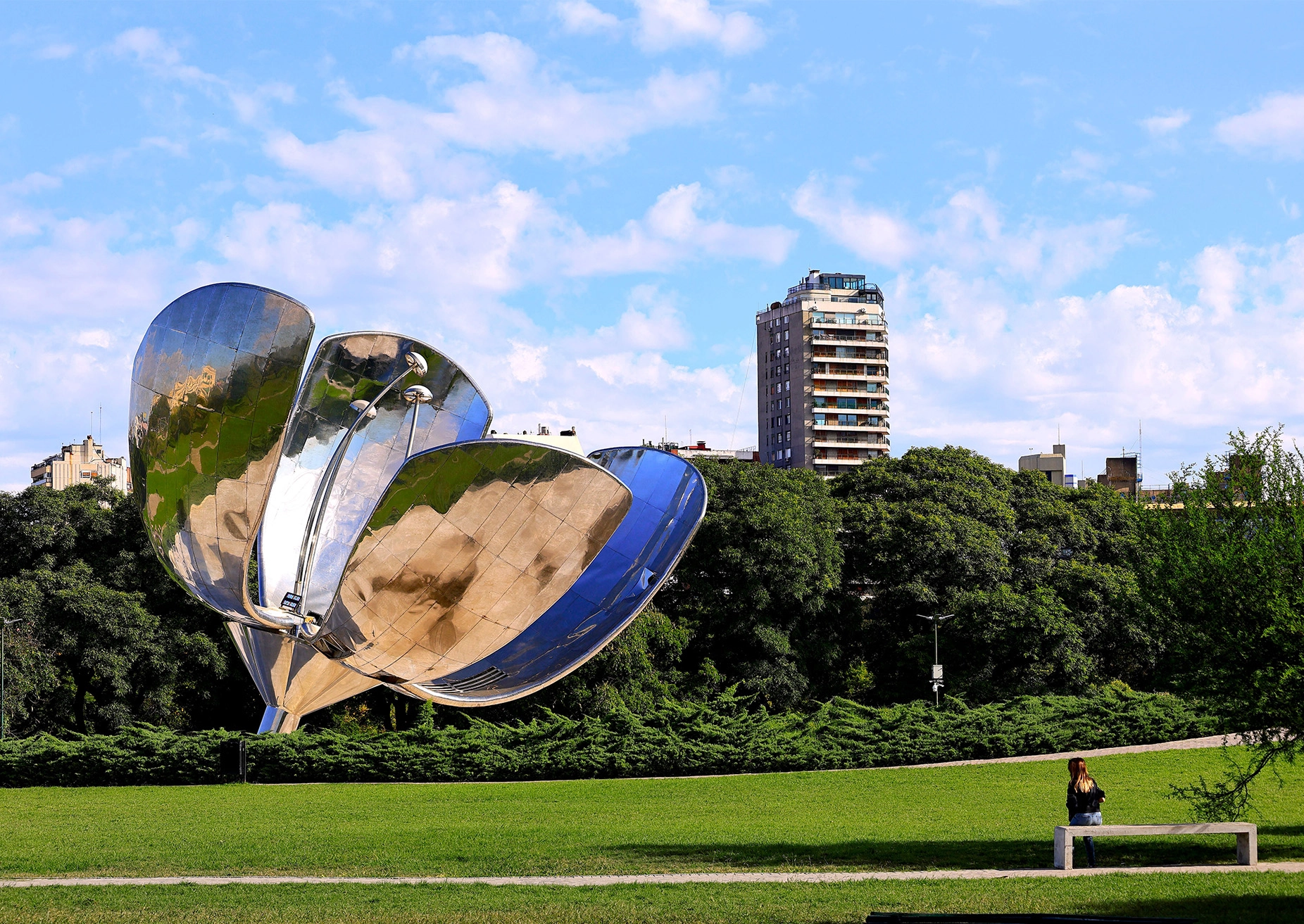 floralis_generica