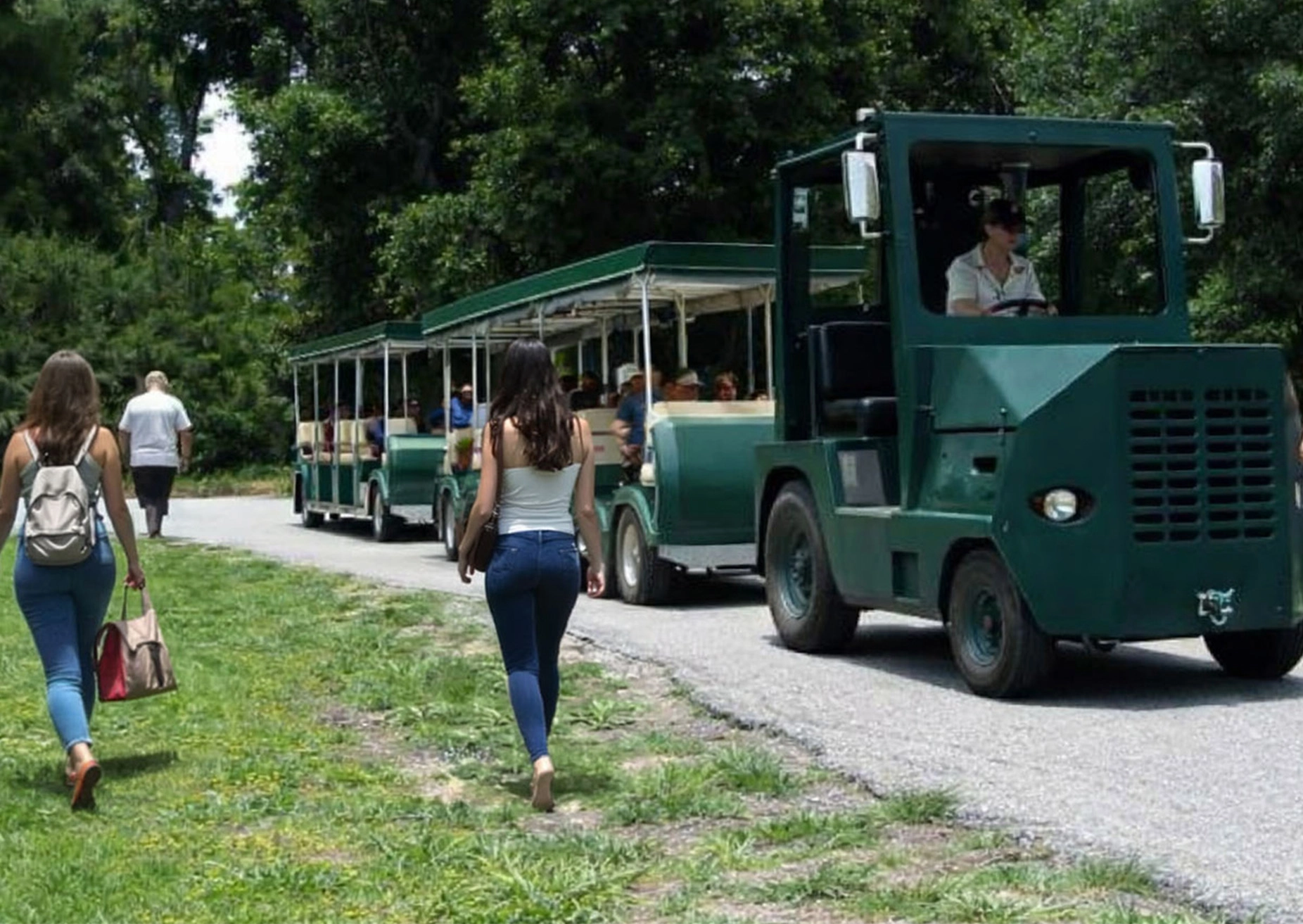 The Nature Train at Magnolia Plantation and Gardens