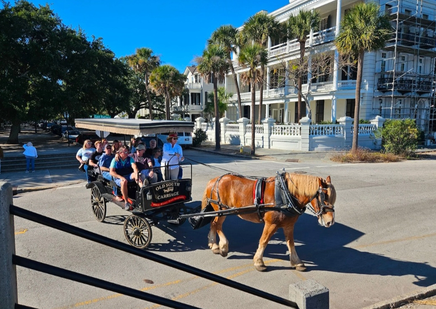 horse drawn carriage ride in charleston south carolina