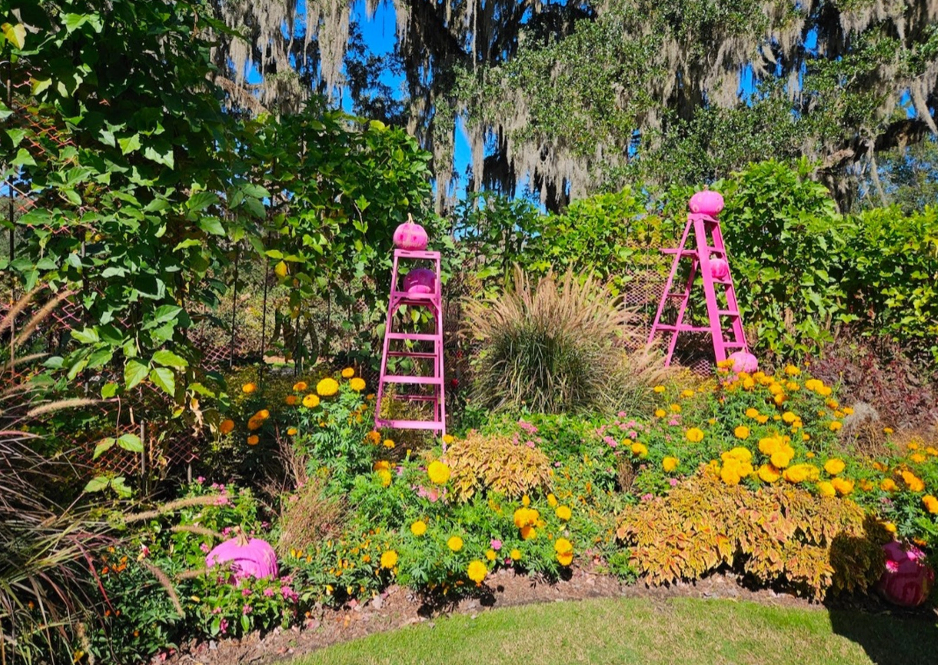 Boone Hall Plantation