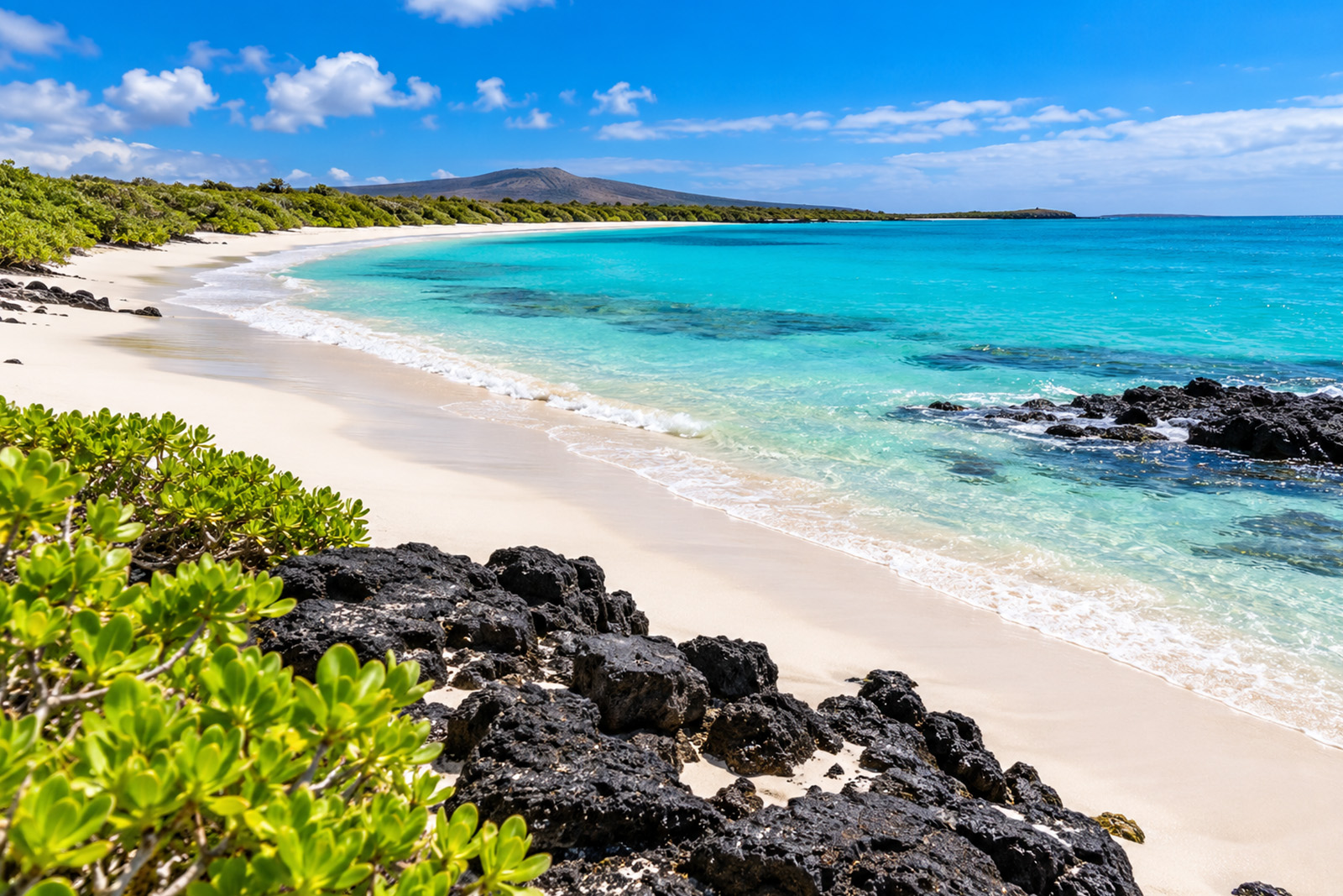 White sand beach and turquoise water at Tortuga Bay Galapagos