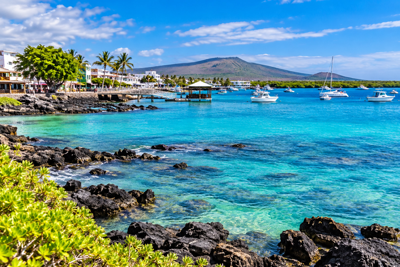 Beautiful coastal landscape on Santa Cruz Island in the Galapagos