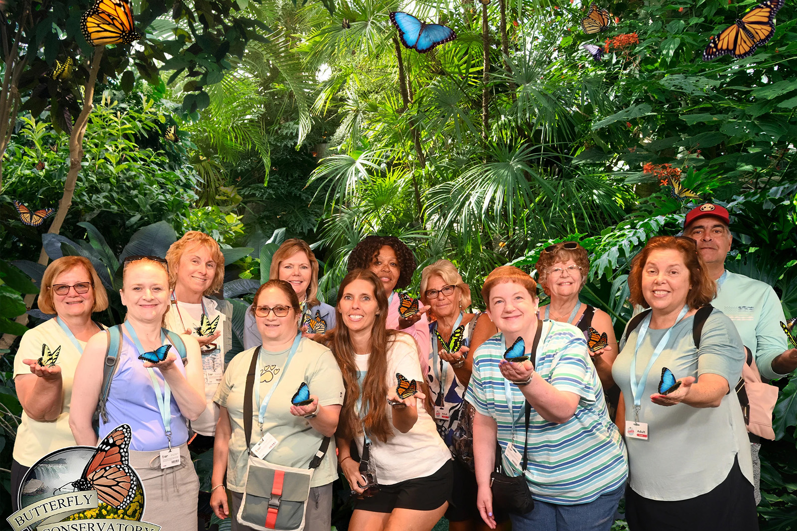 Colorful tropical butterflies surrounded by lush plants and flowers inside Niagara Parks Butterfly Conservatory