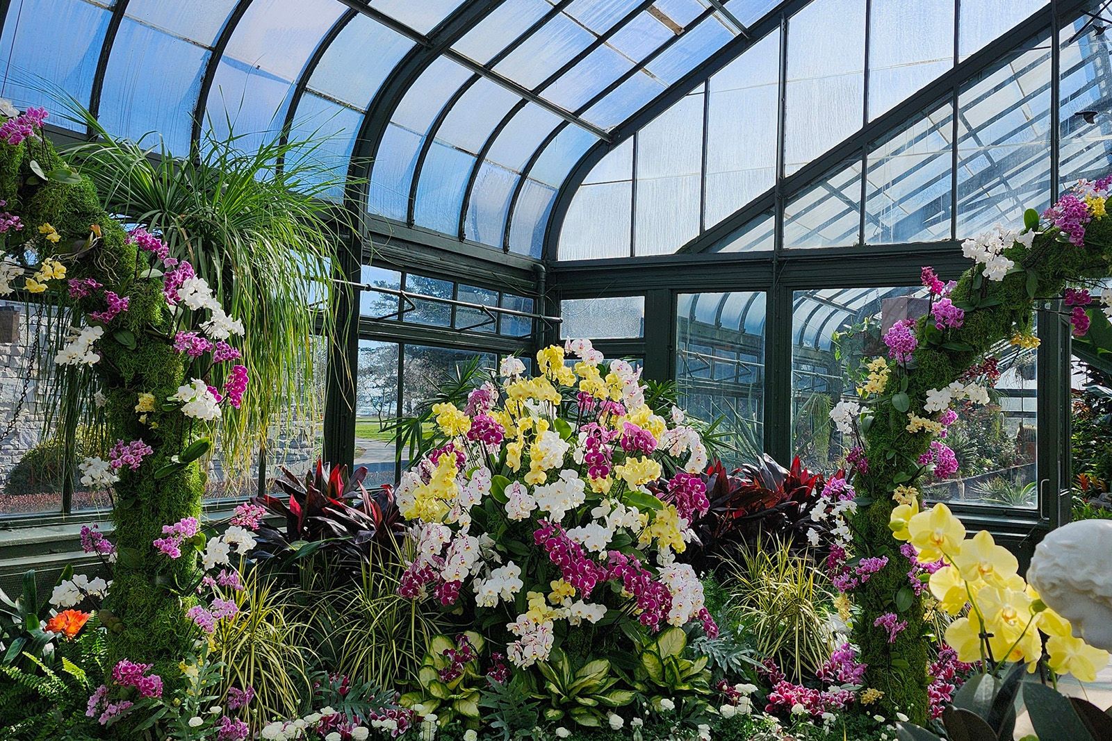 Beautiful tropical plants, colorful flowers and landscaped displays inside Niagara Parks Floral Showhouse