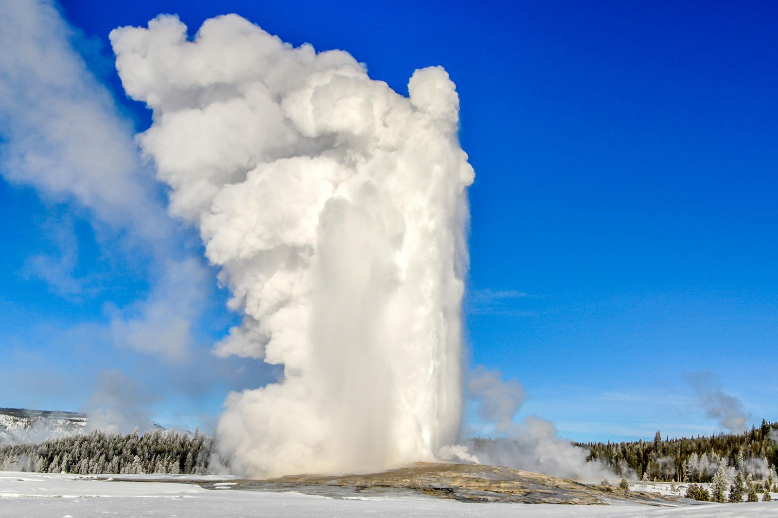 Old Faithful geyser erupting into the cold winter air surrounded by snow in Yellowstone National Park